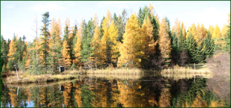 Fall in Fifield, Wisconsin